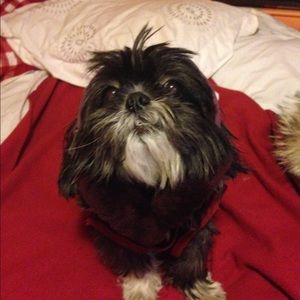 Meet your Posher, Paola